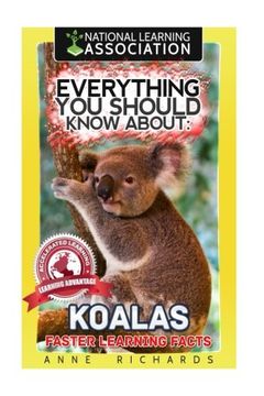 portada Everything You Should Know About: Koalas
