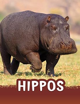 portada Hippos (en Inglés)