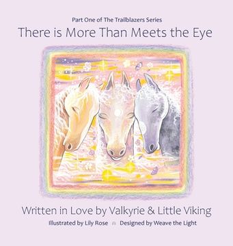 portada There is More Than Meets the Eye (en Inglés)