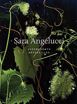 portada Sara Angelucci: Undergrowth / Broussailles (en Francés)