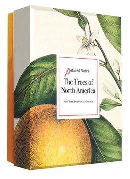 portada Detailed Notes: The Trees of North America: A Detailed Notes Notecard set (in English)