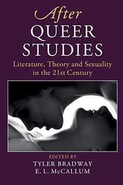 portada After Queer Studies: Literature, Theory and Sexuality in the 21St Century (After Series) 