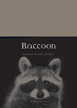 portada Raccoon (Animal) (en Inglés)