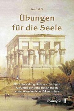 portada Übungen für die Seele: Die Entwicklung Eines Reichhaltigen Gefühlslebens und die Erlangung Erster Übersinnlicher Erkenntnisse (in German)