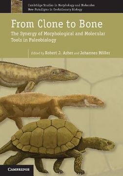 portada from clone to bone: the synergy of morphological and molecular tools in palaeobiology