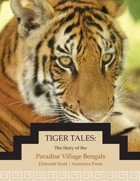 portada Tiger Tales: The Story of the Paradise Village Bengals (en Inglés)