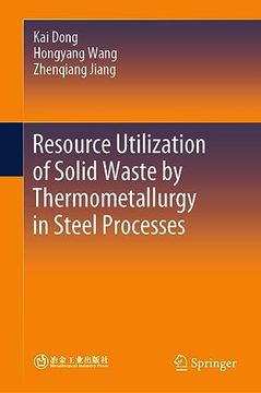 portada Resource Utilization of Solid Waste by Thermometallurgy in Steel Processes (en Inglés)