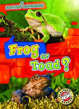 portada Frog or Toad? (Spotting Differences: Blastoff! Readers, Level 1) (en Inglés)
