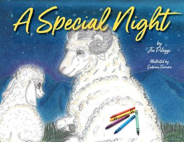 portada A Special Night: a Christmas coloring book (en Inglés)