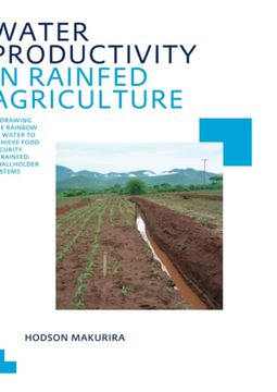 portada Water Productivity in Rainfed Agriculture: Redrawing the Rainbow of Water to Achieve Food Security in Rainfed Smallholder Systems (Ihe Delft phd Thesis Series) (en Inglés)