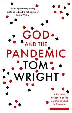 portada God and the Pandemic: A Christian Reflection on the Coronavirus and its Aftermath (en Inglés)