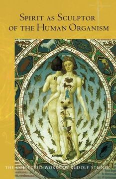 portada Spirit as Sculptor of the Human Organism (Collected Works of Rudolf Steiner)