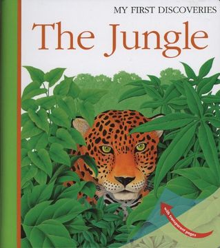 portada The Jungle (my First Discoveries) (en Inglés)