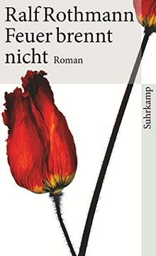 portada Feuer Brennt Nicht: Roman (Suhrkamp Taschenbuch) (en Alemán)