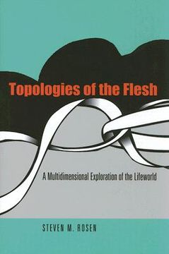 portada topologies of the flesh: a multidimensional exploration of the lifeworld