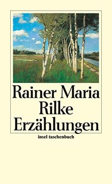 portada Die Erzählungen (Insel Taschenbuch) (en Alemán)