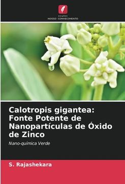 portada Calotropis gigantea: Fonte Potente de Nanopartículas de Óxido de Zinco (in Portuguese)