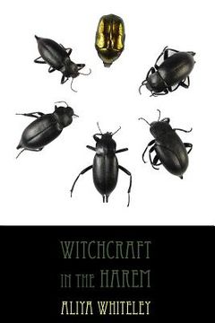 portada Witchcraft in the Harem (en Inglés)