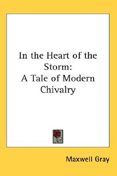 portada in the heart of the storm: a tale of modern chivalry