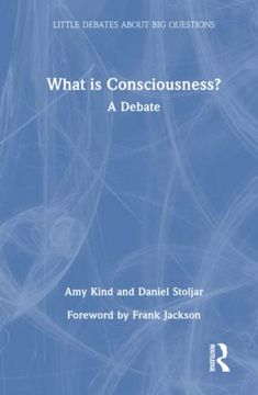 portada What is Consciousness? (Little Debates About big Questions) (in English)