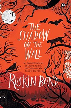 portada The Shadow on the Wall (in English)