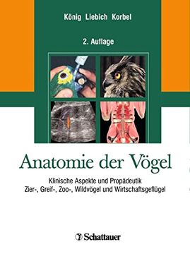 portada Anatomie der Vögel (in German)