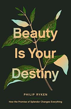 portada Beauty is Your Destiny: How the Promise of Splendor Changes Everything 