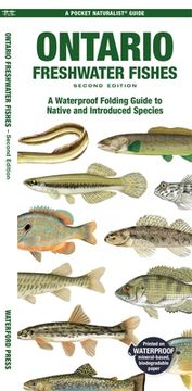 portada Ontario Freshwater Fishes: A Waterproof Folding Guide to Native and Introduced Species (en Inglés)