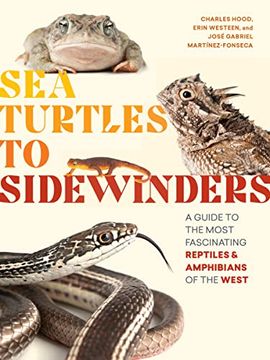 portada Sea Turtles to Sidewinders: A Guide to the Most Fascinating Reptiles and Amphibians of the West (in English)