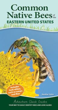 portada Common Backyard Bees of the Eastern United States: Your way to Easily Identify Bees and Look-Alikes (Adventure Quick Guides) (en Inglés)