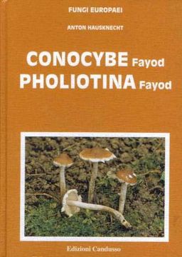 portada Conocybe - Pholiotina Fungi Europaei 11