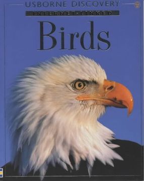portada birds