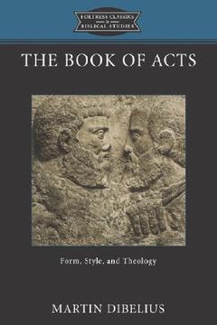 portada the book of acts: form, style, and theology (in English)