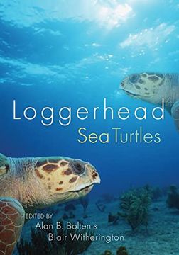 portada Loggerhead sea Turtles: The Tragedy of Flight 242 (in English)