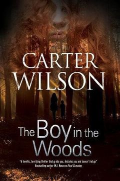 portada The boy in the Woods 