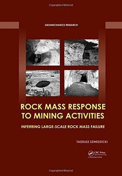 portada Rock Mass Response to Mining Activities: Inferring Large-Scale Rock Mass Failure
