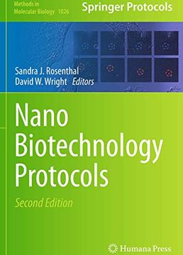 portada Nanobiotechnology Protocols (Methods in Molecular Biology, 1026) (in English)