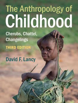 The Anthropology of Childhood: Cherubs, Chattel, Changelings (en Inglés)