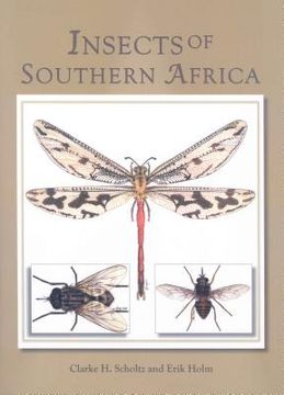 portada Insects of Southern Africa