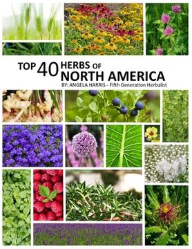 portada Top 40 Herbs of North America (in English)