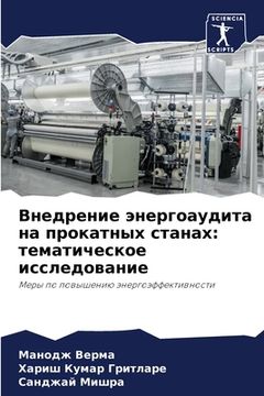 portada Внедрение энергоаудита & (in Russian)