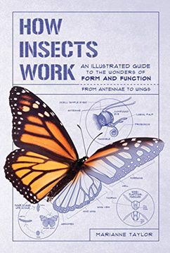 portada How Insects Work: An Illustrated Guide to the Wonders of Form and Function--From Antennae to Wings (en Inglés)