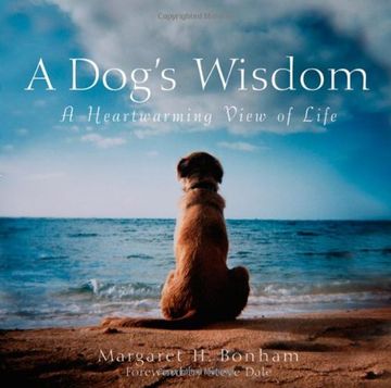 portada A Dog's Wisdom: A Heartwarming View of Life (in English)