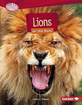 portada Lions on the Hunt (Searchlight Books) (in English)