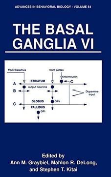 portada The Basal Ganglia vi (en Inglés)