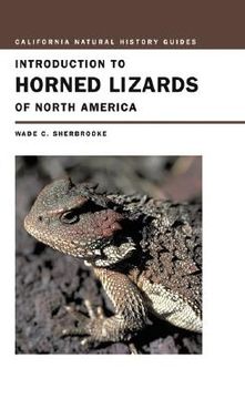 portada introduction to horned lizards of north america (en Inglés)