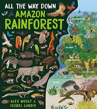 portada All the way Down: Amazon Rainforest (en Inglés)