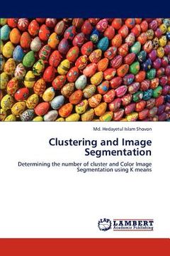 portada clustering and image segmentation (en Inglés)