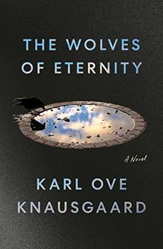 portada The Wolves of Eternity: A Novel (in English)
