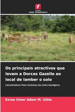 portada Os Principais Atractivos que Levam a Dorcas Gazelle ao Local de Lamber o Solo (en Portugués)